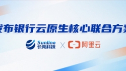 巅峰国际官网科技、阿里云颁布银行云原生主题结合规划