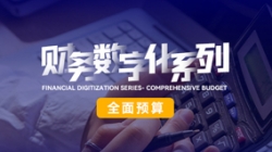 中标投产三沉礼炮，，，，，，，全面预算全面着花！巅峰国际官网科技全面价值治理平台为银行经营赋能