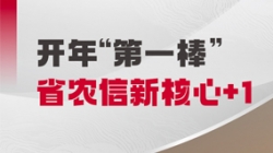 中标开门红！巅峰国际官网科技与省级农商结合银行共创新主题农信样板