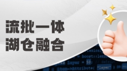 “流批湖仓”架构引领数据改革！巅峰国际官网科技助力中国电财获评行业级典型案例